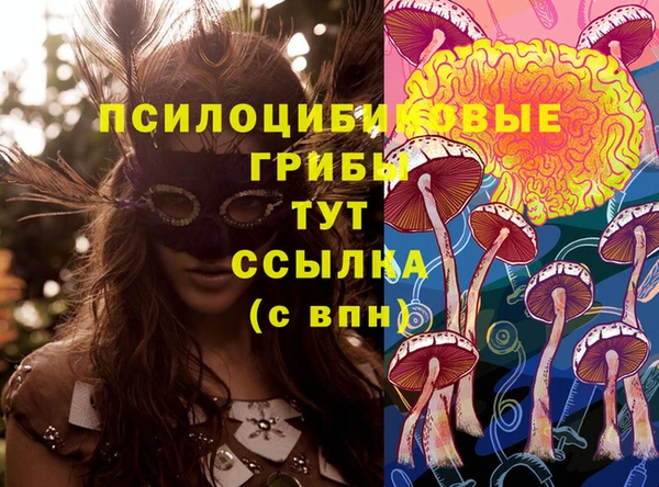альфа пвп Арсеньев